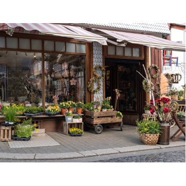 Aura Floraldesign - Hessen, Fritzlar, Marktplatz 30